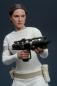 Mobile Preview: Star Wars: Episode II Actionfigur 1/6 Padmé Amidala 27 cm