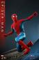 Preview: Spider-Man: No Way Home Movie Masterpiece Actionfigur 1/6 Spider-Man (New Red and Blue Suit) 28 cm
