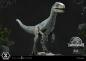 Preview: Jurassic World: Fallen Kingdom Prime Collectibles Statue 1/10 Blue (Open Mouth Version) 17 cm